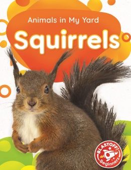 Squirrels For Discount