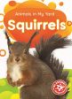 Squirrels For Discount