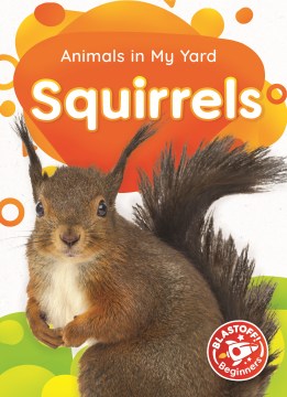 Squirrels For Discount