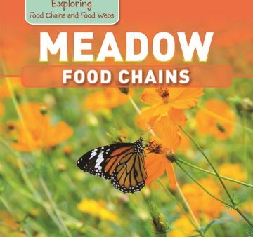 Meadow Food Chains Cheap