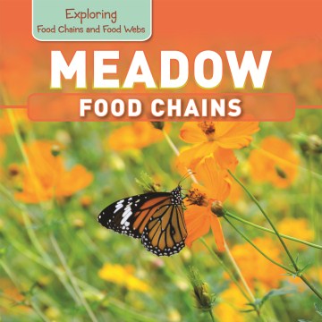 Meadow Food Chains Cheap