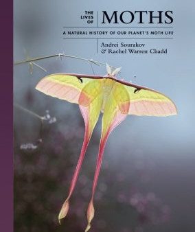 The Lives of Moths Fashion